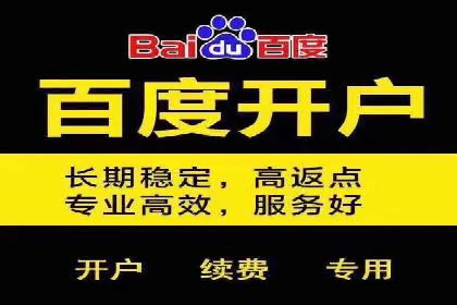 sem竞价托管代运营的实战技巧与案例